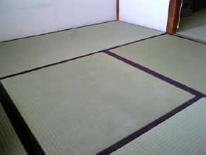畳の種類